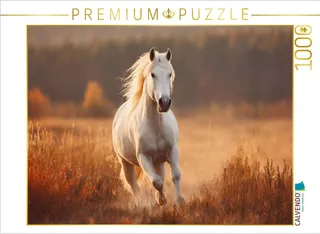 4070715387778